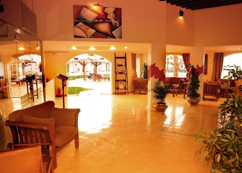 South Sinai Governorate Sharm El Sheikh Reception