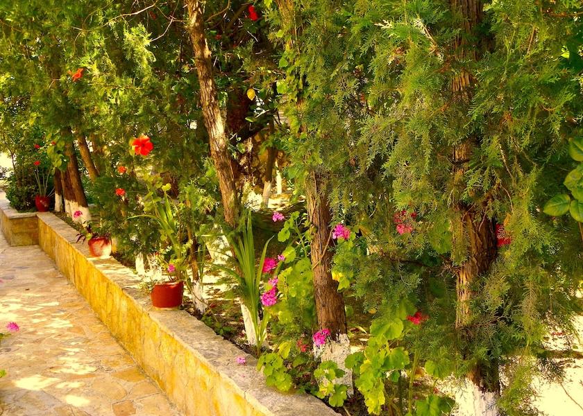Ionian Islands Region Zakynthos Exterior Detail