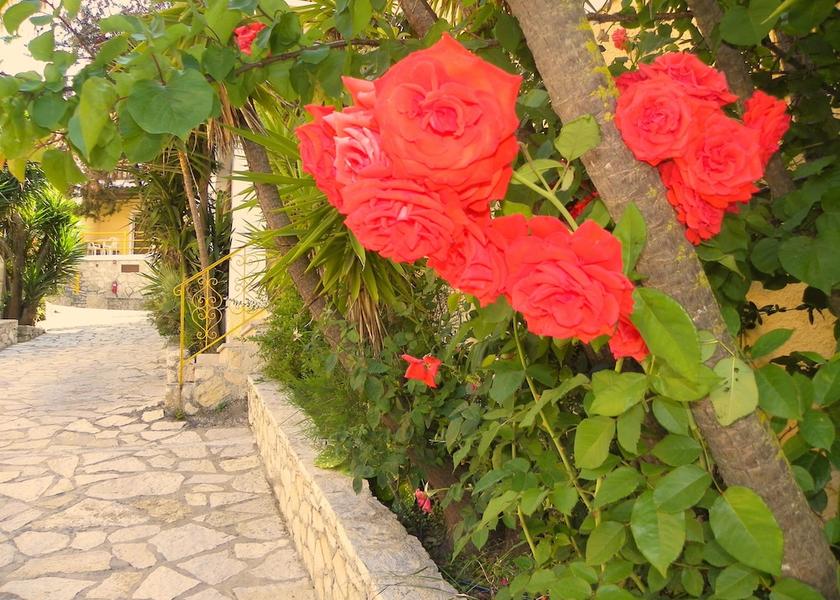 Ionian Islands Region Zakynthos Exterior Detail