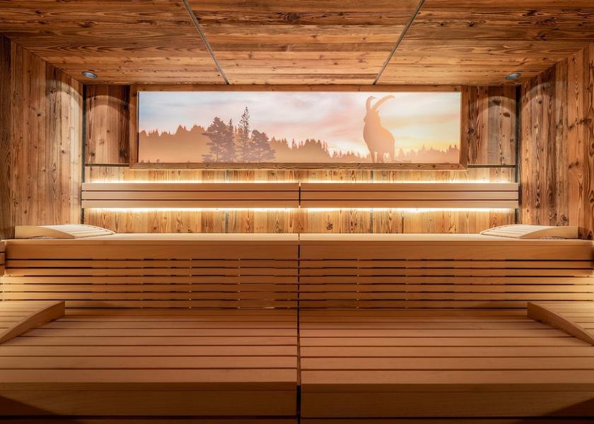Tyrol Seefeld in Tirol Sauna