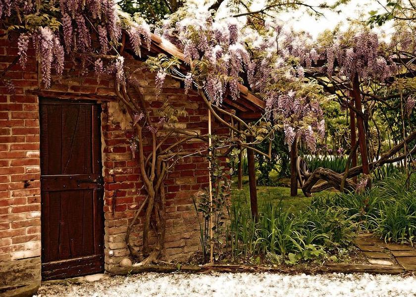 Piedmont Barolo Property Grounds