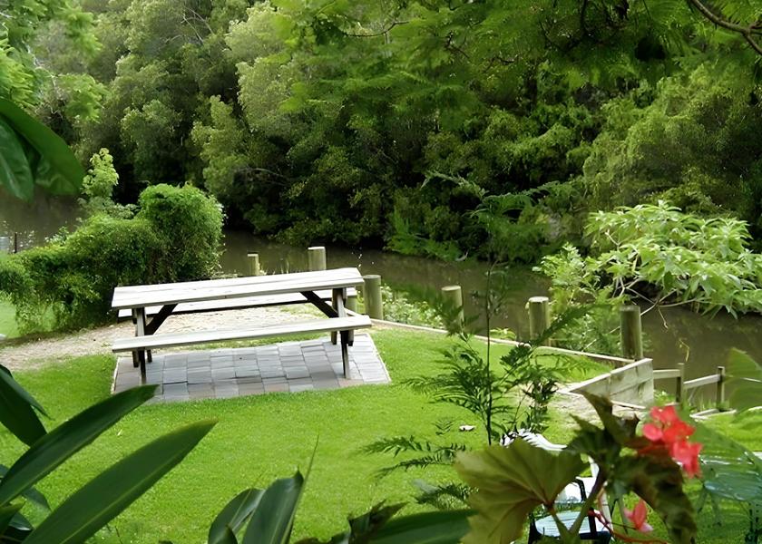 surrounding environment