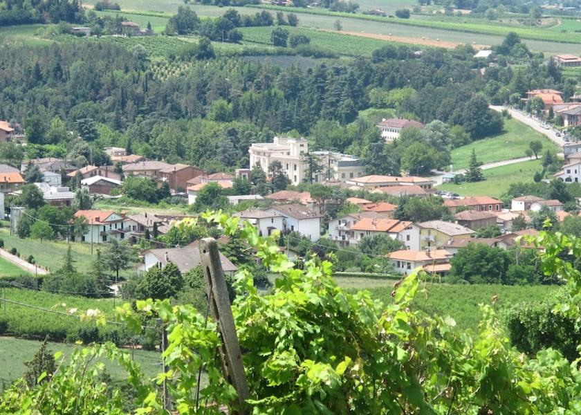 Emilia-Romagna Bertinoro Aerial View