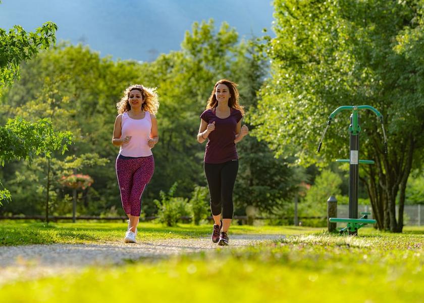 Auvergne-Rhone-Alpes La Lechere Exterior Detail
