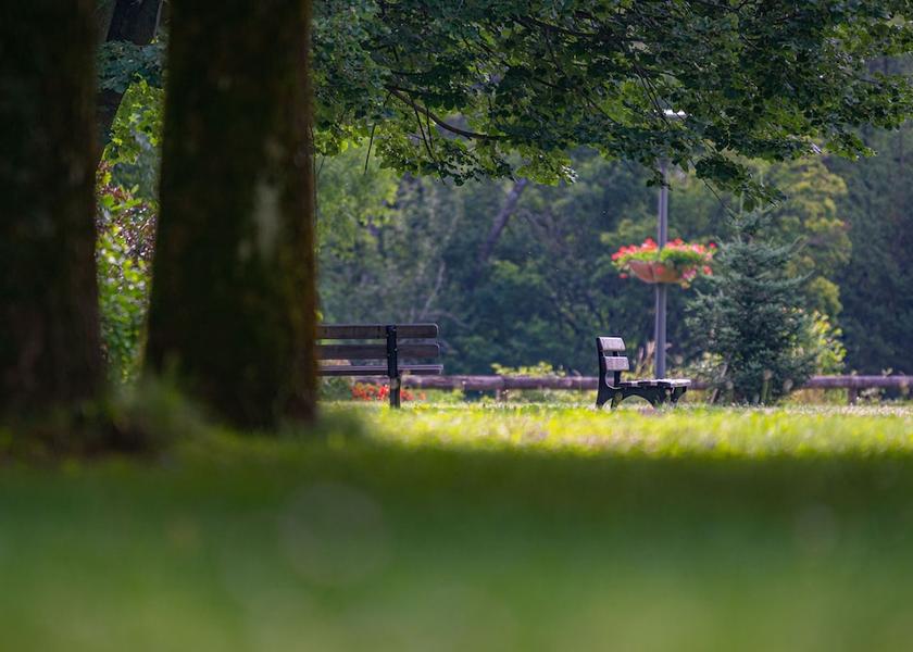 Auvergne-Rhone-Alpes La Lechere Exterior Detail