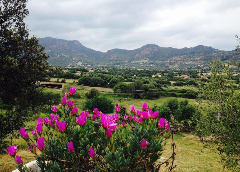 Sardinia Loiri Porto San Paolo View from Property