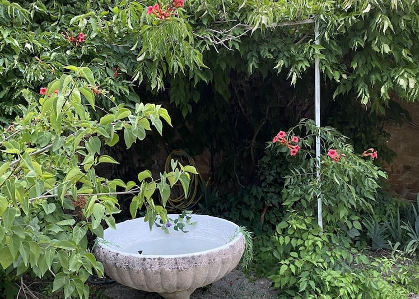 Provence - Alpes - Cote d'Azur Piolenc Restaurant