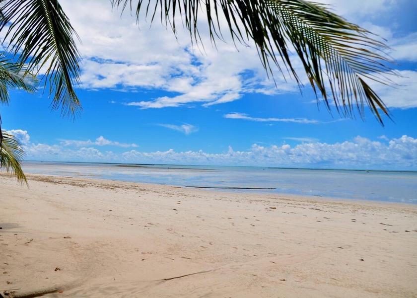 Alagoas São Miguel dos Milagres Beach