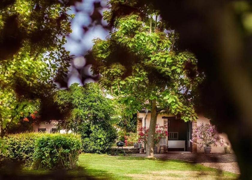 Auvergne-Rhone-Alpes Saint-Jean-De-Thurigneux Exterior Detail