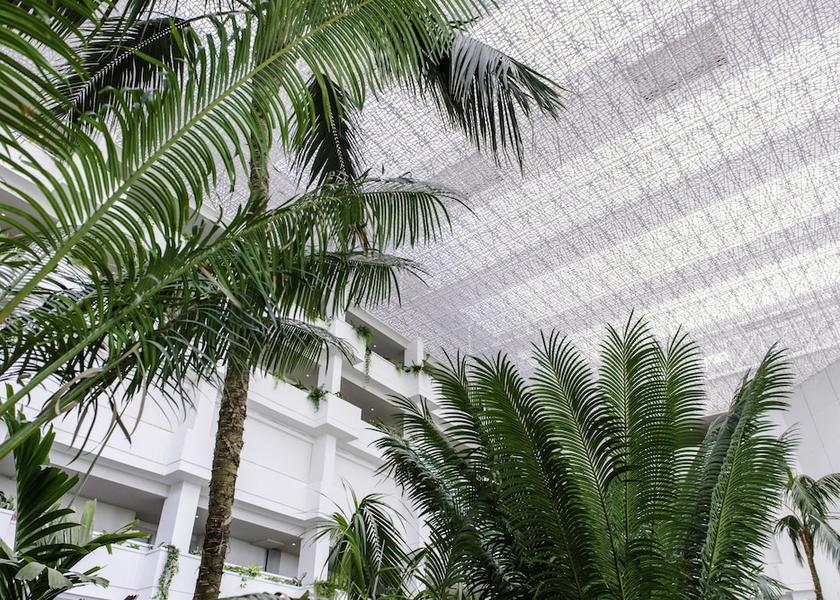 Canary Islands Arona Interior Entrance