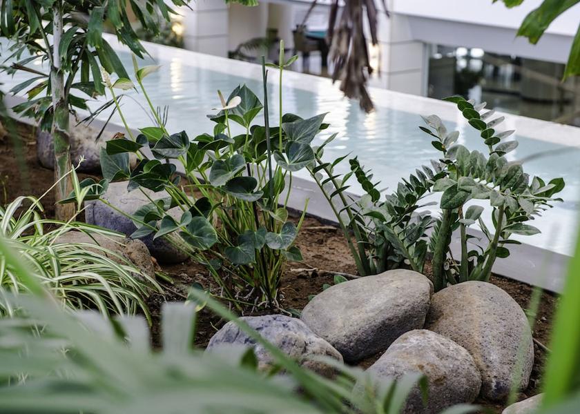 Canary Islands Arona Interior Entrance