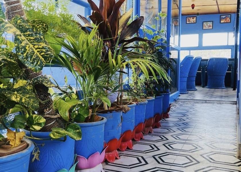 Rajasthan Jodhpur Restaurant