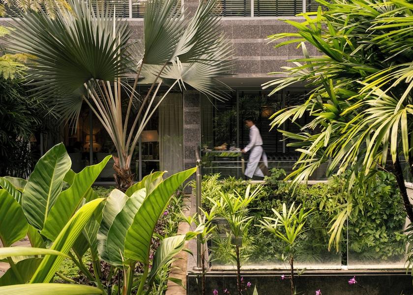 Vargas Caracas Garden