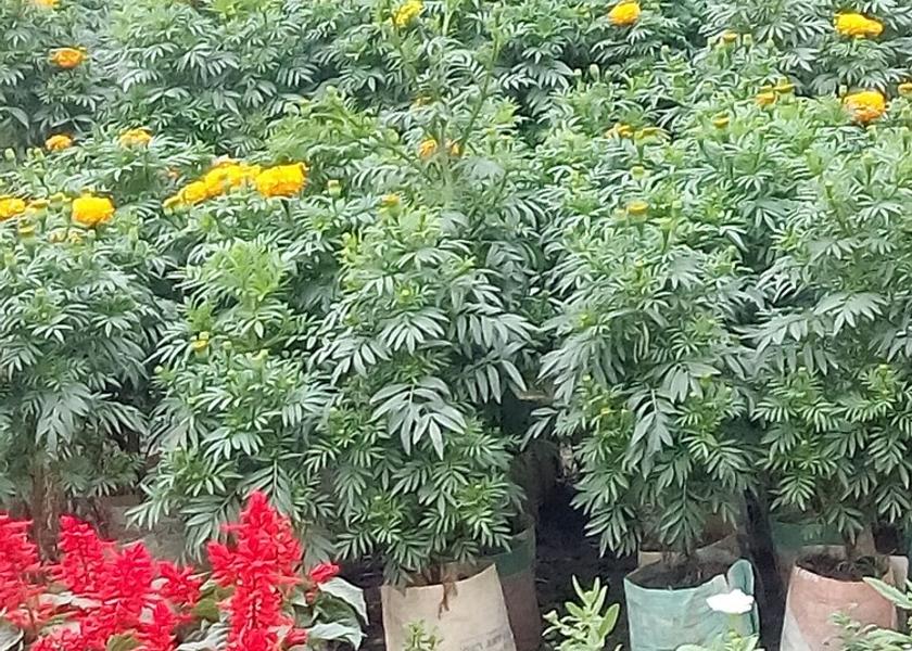 Dhaka Division Dhaka Entrance