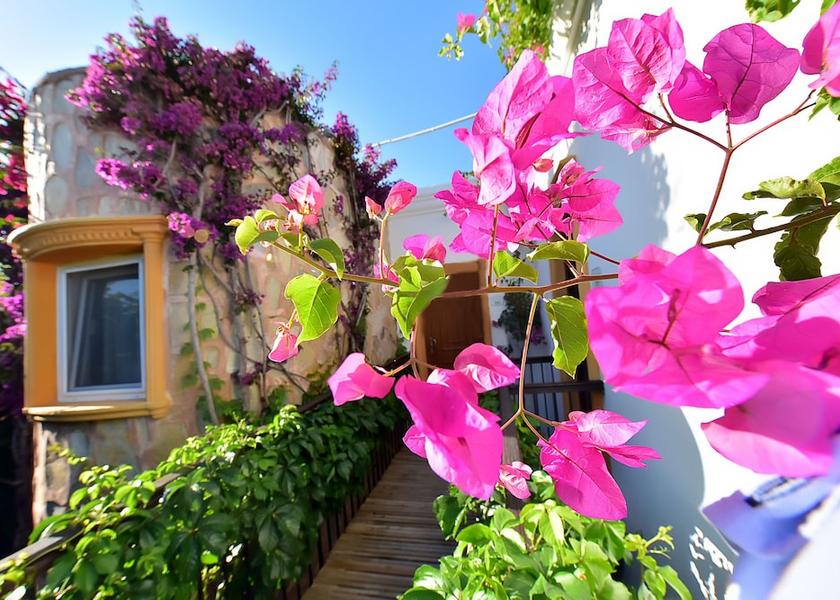 Muğla Bodrum View from property