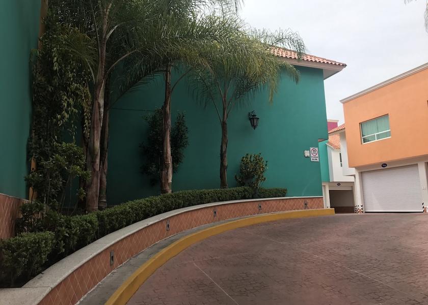  Mexico City Garden