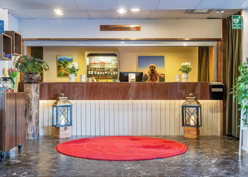 Dalarna County Mora Reception