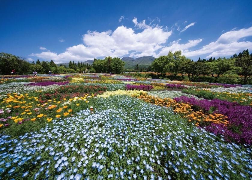 Oita Taketa Point of interest