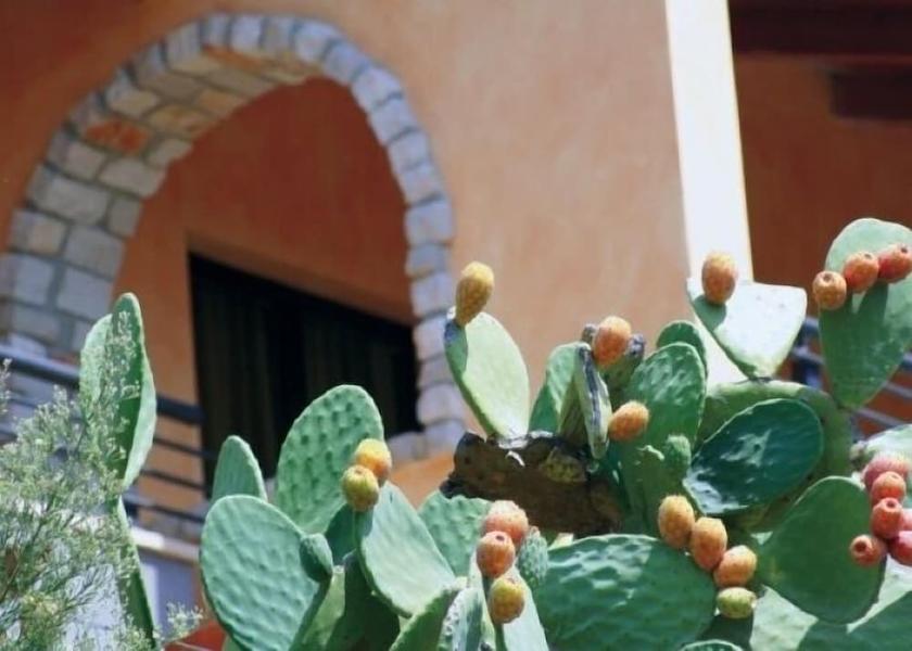 Calabria Roseto Capo Spulico Exterior Detail