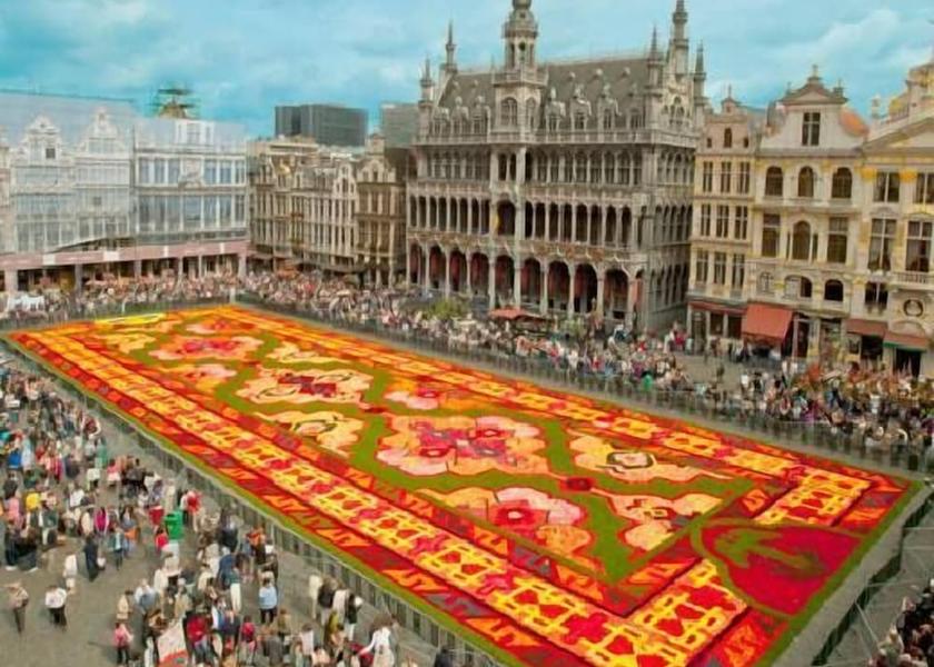 Flemish Region Sint-Pieters-Leeuw View from Property