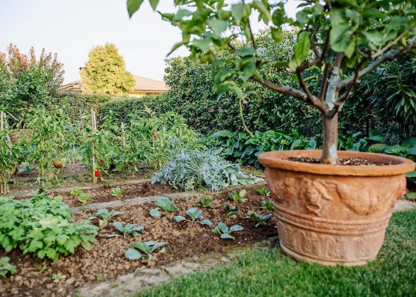 Veneto Montecchia di Crosara Exterior Detail
