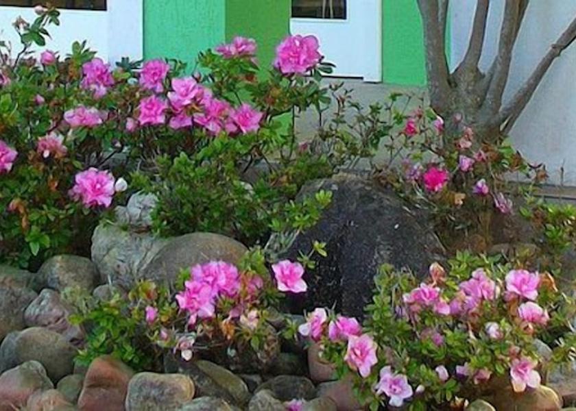 Santa Catarina São Francisco do Sul Exterior Detail