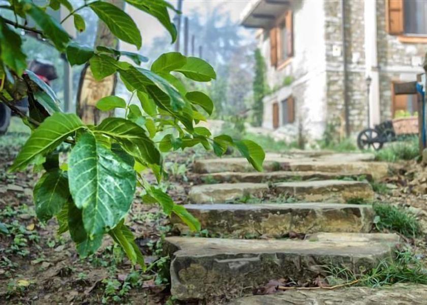 Piedmont Bubbio Exterior Detail