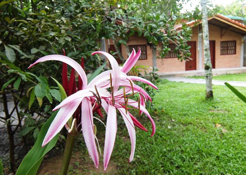 Dong Nai Tan Phu Room