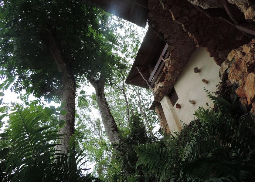 Hato Mayor Sabana de la Mar Property Grounds