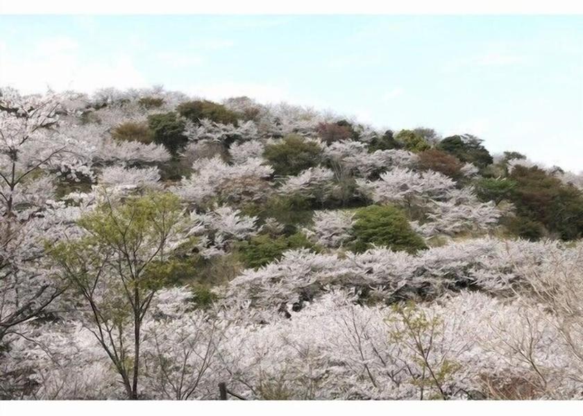 Miyazaki Nichinan View from Property