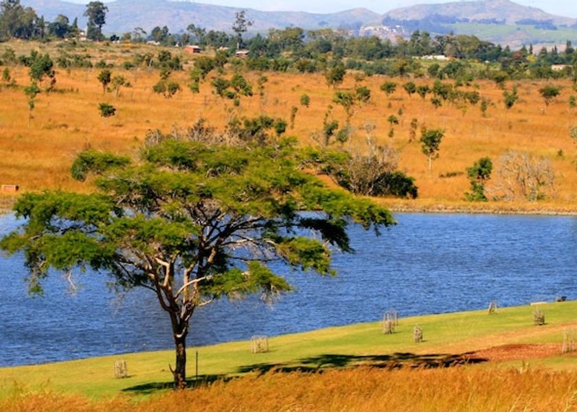 Southern Region Chigumula Property amenity