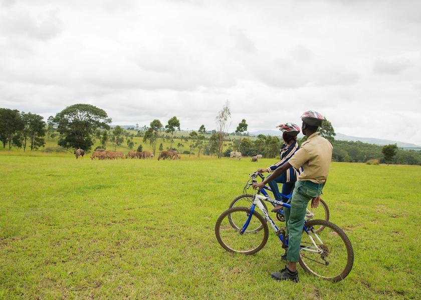Southern Region Chigumula Ecotours