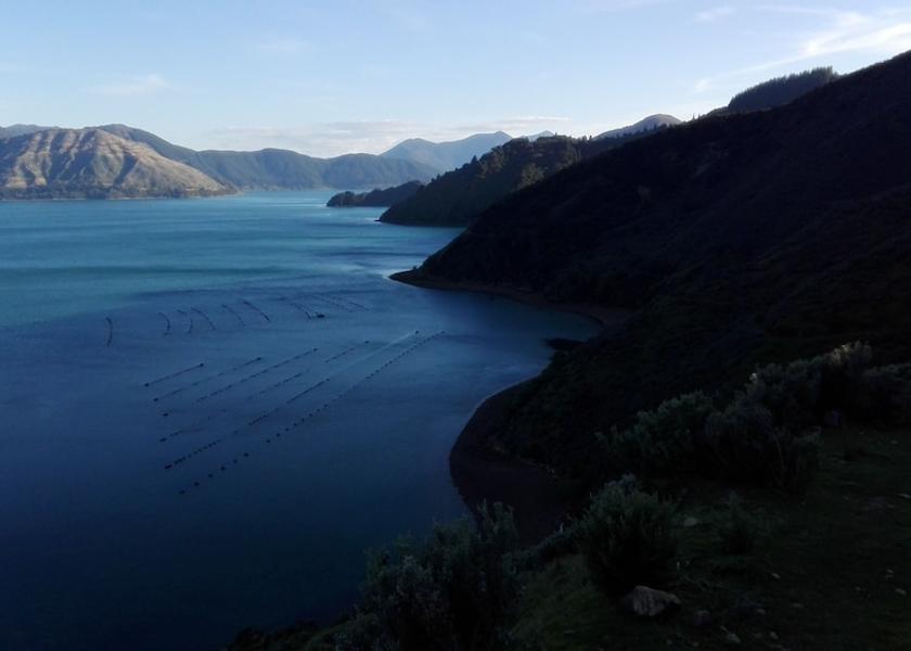 Marlborough Te Rawa View from Property