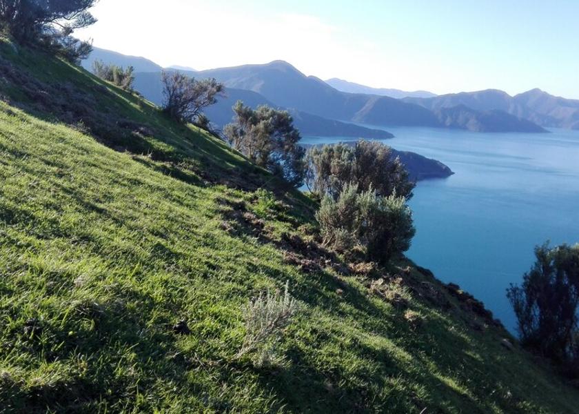 Marlborough Te Rawa View from Property