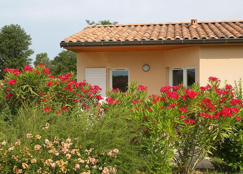 Auvergne-Rhone-Alpes Chateauneuf-sur-Isere Garden