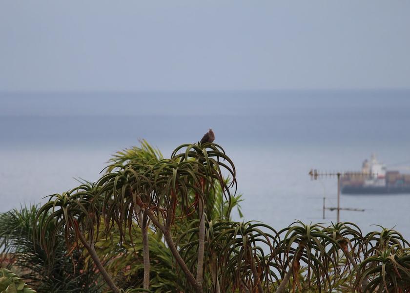 KwaZulu-Natal uMhlanga Lake