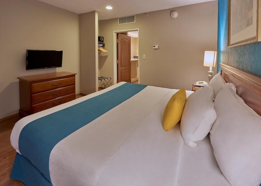 San Luis Potosi San Luis Potosi Room