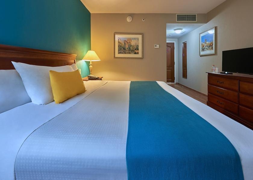 San Luis Potosi San Luis Potosi Room