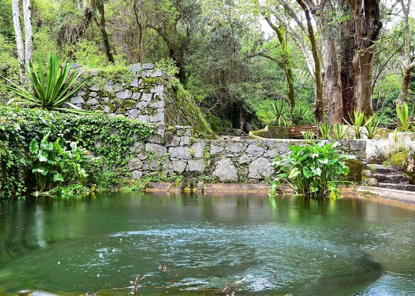 Faro Monchique Garden
