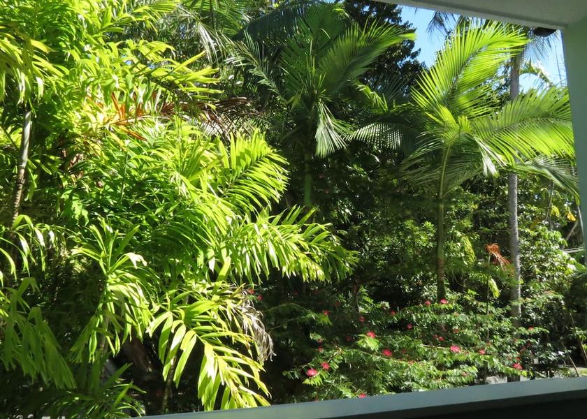 Queensland Port Douglas Garden View