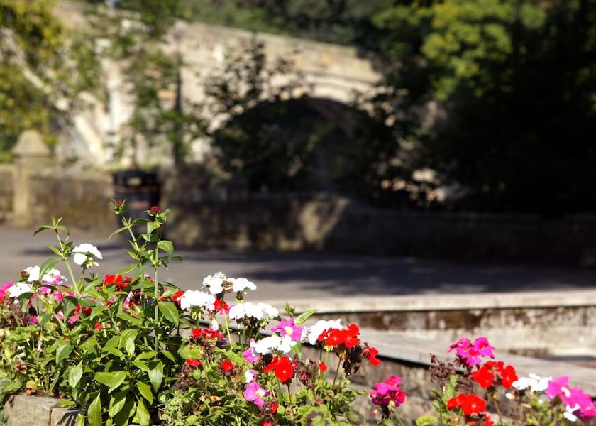 England Ilkley Garden