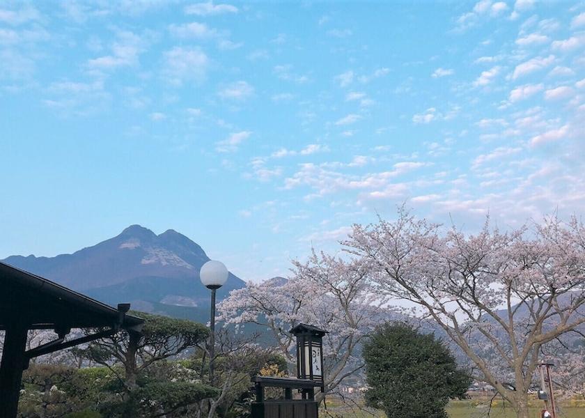 Oita Yufu Exterior