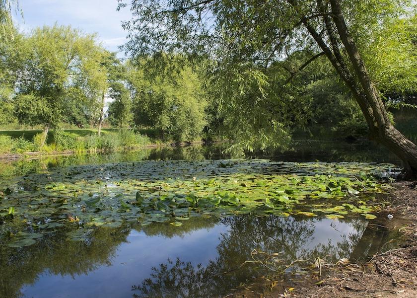 England Nottingham Property Grounds