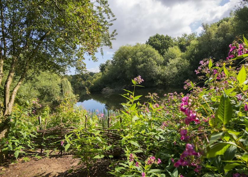 England Nottingham Property Grounds