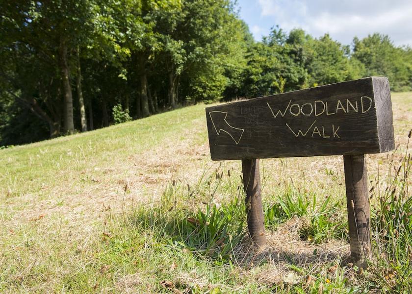 England Nottingham Property Grounds