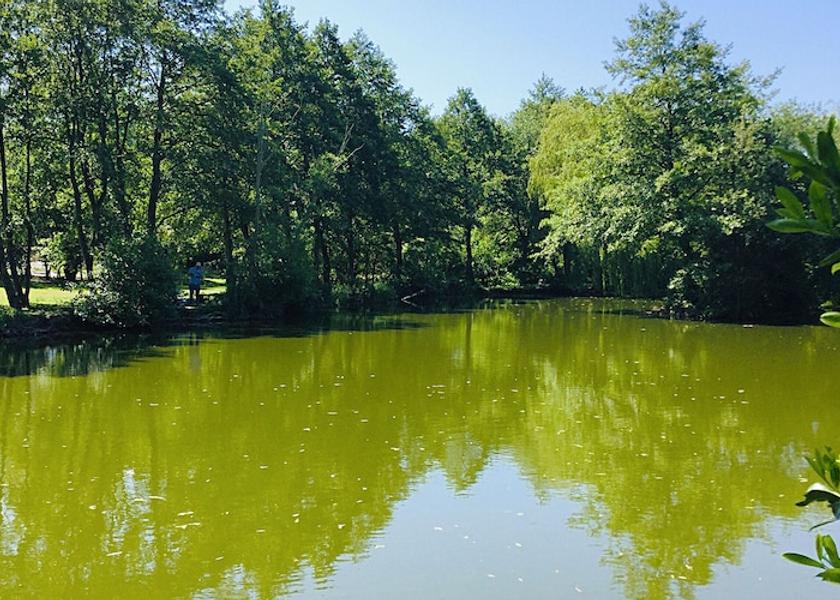 England Dereham Exterior Detail