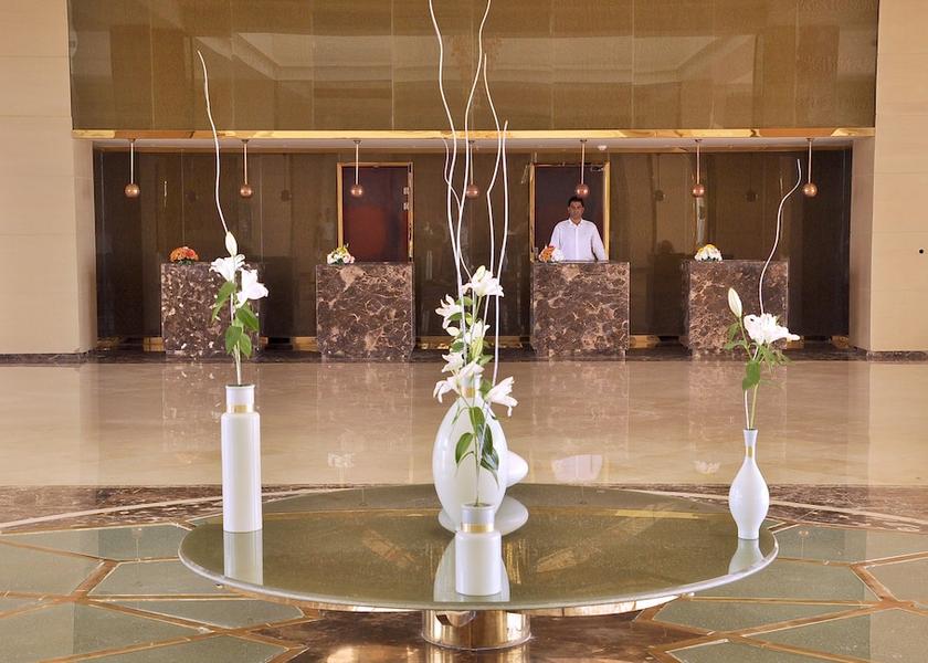 South Sinai Governorate Sharm El Sheikh Reception