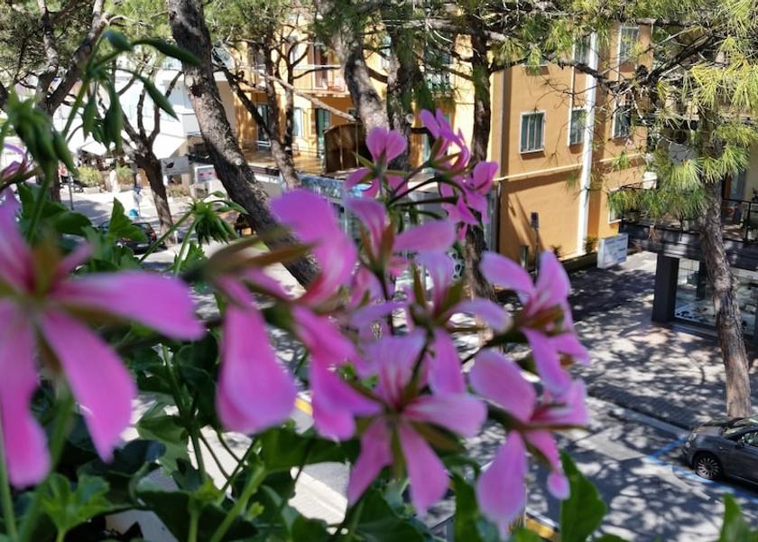 Veneto Jesolo View from Property