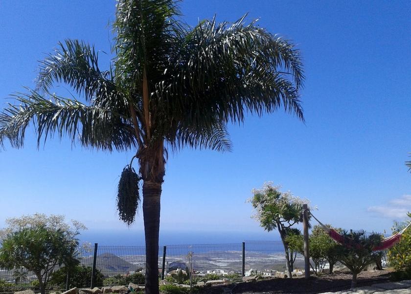 Canary Islands San Miguel de Abona View from Property