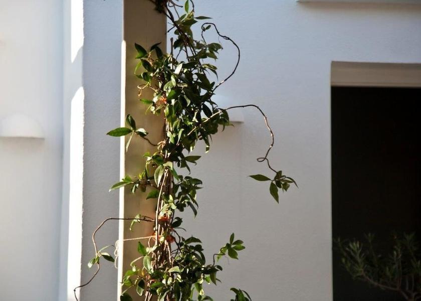South Aegean Sifnos Interior Entrance